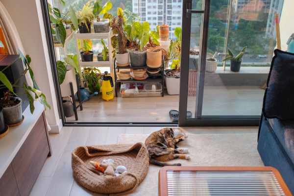Creating Effortless Indoor-Outdoor Access for Pets in Contemporary Homes