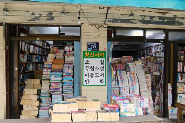 Explore must-read korean novels that captivate readers