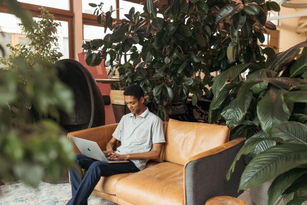 Exploring the Impact of Green Spaces in the Workplace on Employee Well-Being and Mental Health